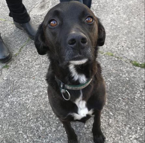 Nogen, der har set Alex?