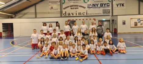 Hadsund Boldklub Håndbold: En Sejrshistorie