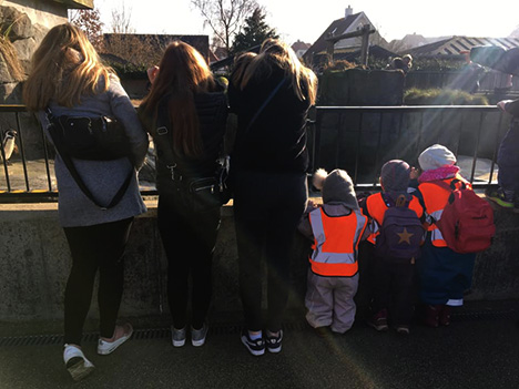 Fælles tema-dag for vuggestue-, børnehave- og skolebørn i Aalborg Zoo