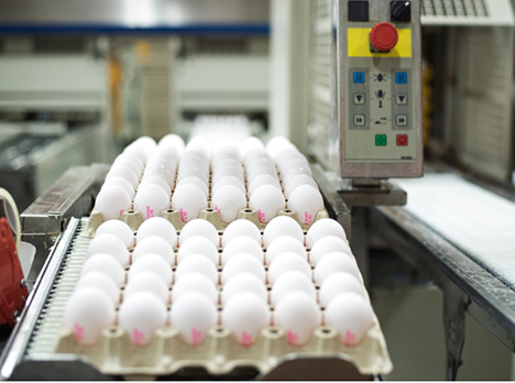 DAVA Foods Denmark A/S søger en tekniker med stærke mekaniske kompetencer​.