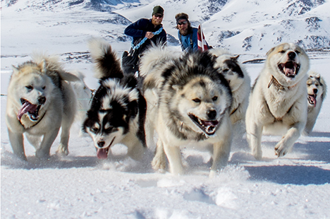 Foredrag med Mathis Huse i Arden Sognegaard