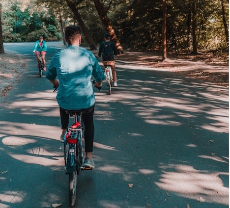 Tag på cykelture i skoven med børn