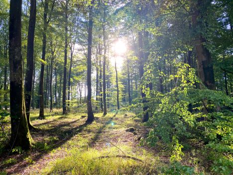 Geocaching omkring Danmarks Dybeste Hemmelighed