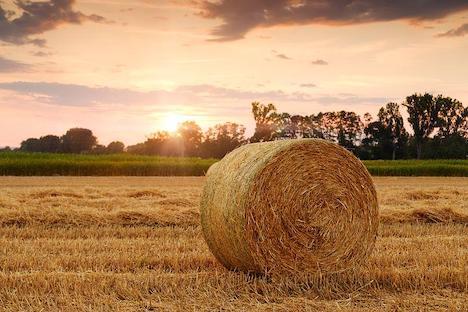 Høstgudstjeneste i Arden kirke med frokost i Sognegården