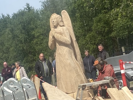 4 store egestammer er forvandlet til flotte skulpturer