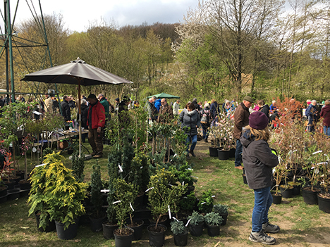 Plantemarked på Viveterp 2019