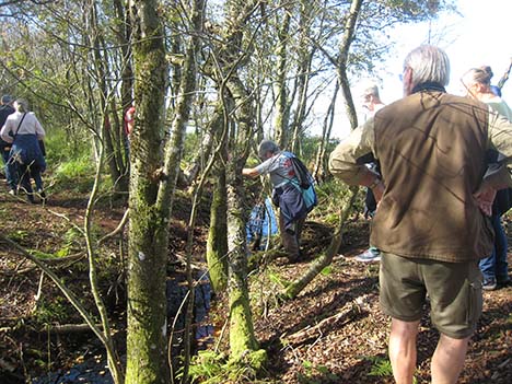 Girafferne har holdt fastelavnsfest