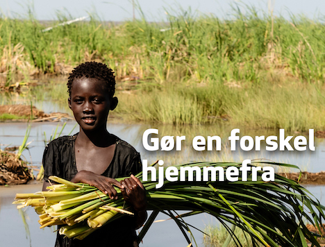 Folkekirkens Nødhjælps Sogneindsamling i Arden er i år digitalt