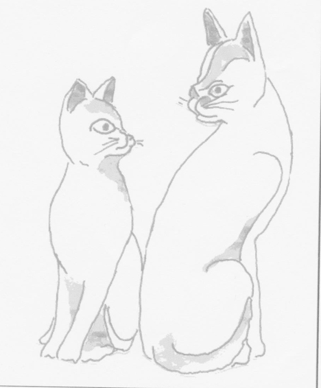 Historien om 2 katte