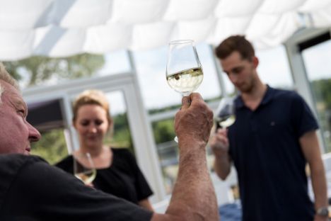 Netværk giver (grønne) resultater