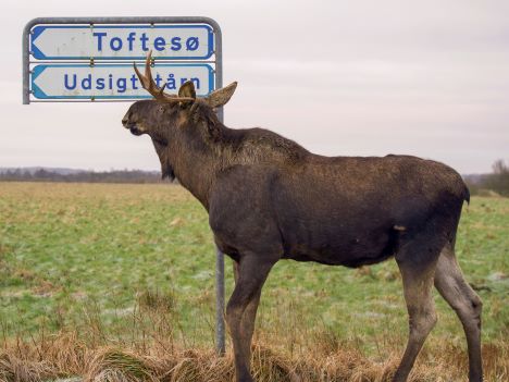 60 + gruppen på cykeltur