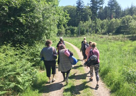 På guidet tur til skovens dybe stille ro