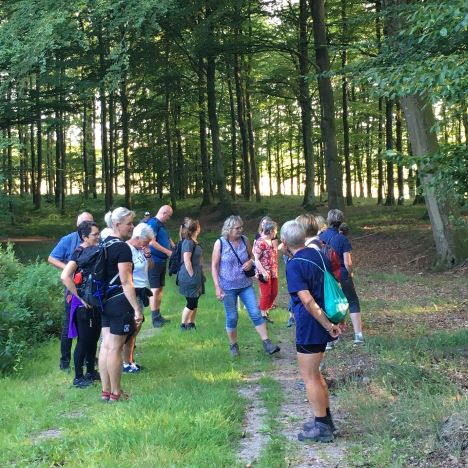 Træsko, hyacintglas og en nedstyrtet flyver.