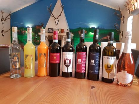 Kom og gør en god vinhandel | Lagersalg med Italienske vine på Rostrup Hedegård