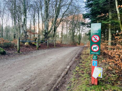 Her kan du parkere bilen, når I skal i Rold Skov
