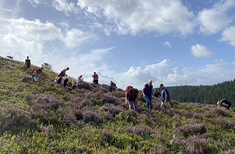 Naturens spisekammer er altid åbent