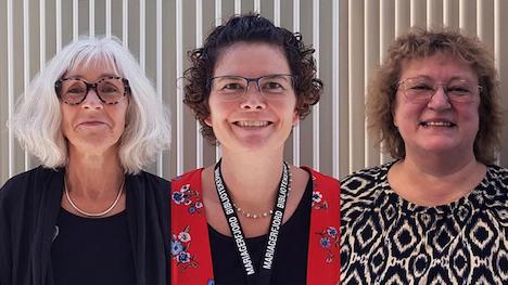 Bibliotekaren anbefaler til sommerlæsningen