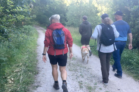 På guidet tur i Rold Skov med menneskets bedste ven