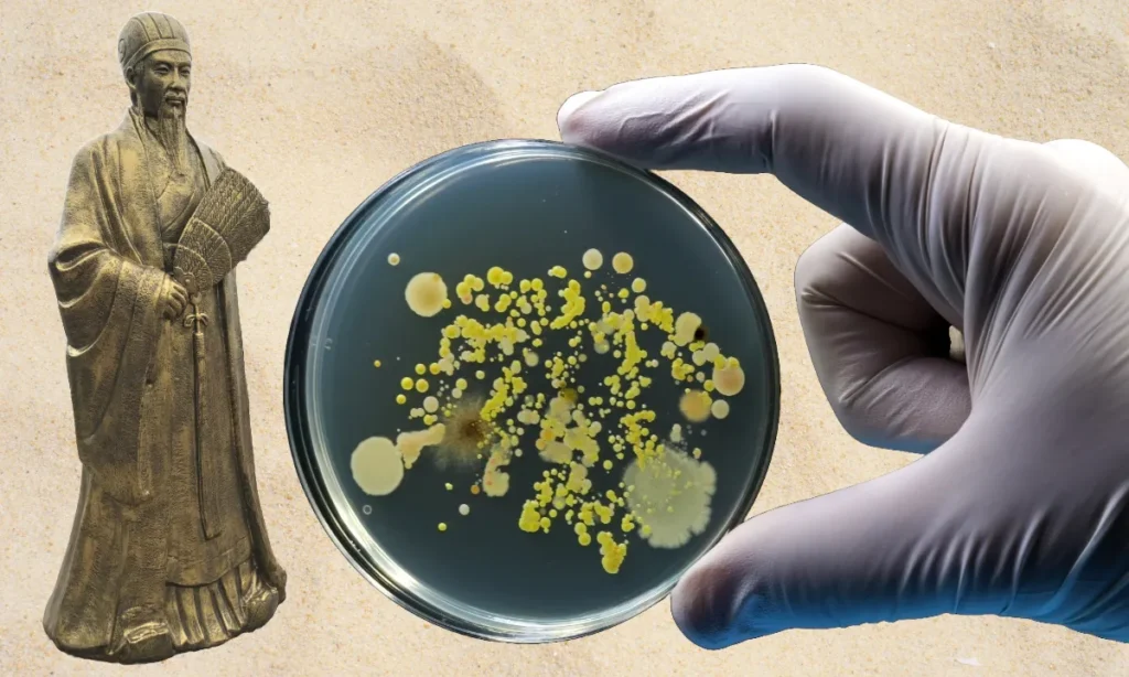 “Kongming-forsvaret” – Den gamle krigsteknik, der kan redde fremtidens medicin