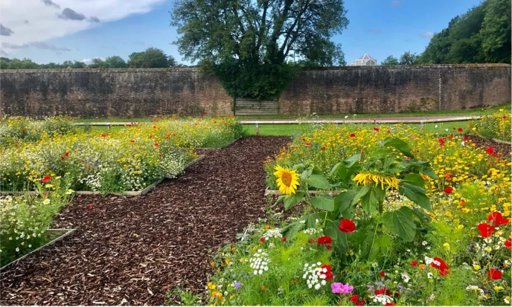 Forskere afslører: Disse 10 blomster er biers absolutte favoritter