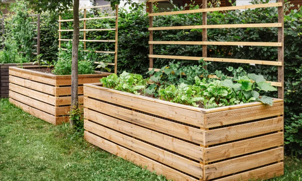 Er du klar til Havens Dag i morgen? – Sætter fokus på sunde frø og blomster