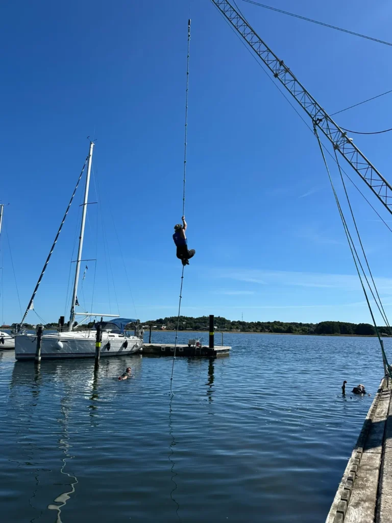 4CC3E6E2 0B02 413C 88A3 338DBC013E99 1 102 o