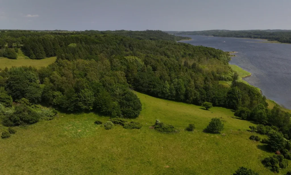 Valgkampen ruller ud i naturen: Borgmesterkandidater på bustur i Mariagerfjord