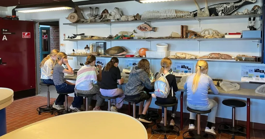 Fra Hjerl Hede til hovedstaden – eleverne fra Mariagerfjord Idrætsskole fik minder og oplevelser for livet