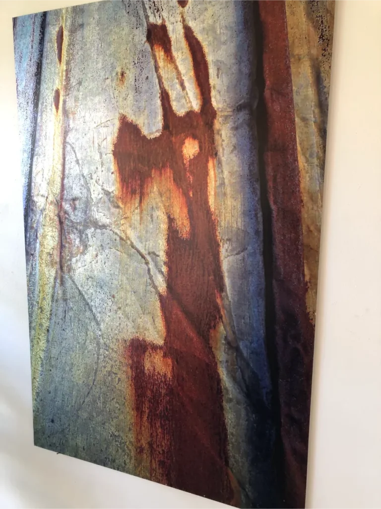 Niels Reiter Danhostel Hobro 3