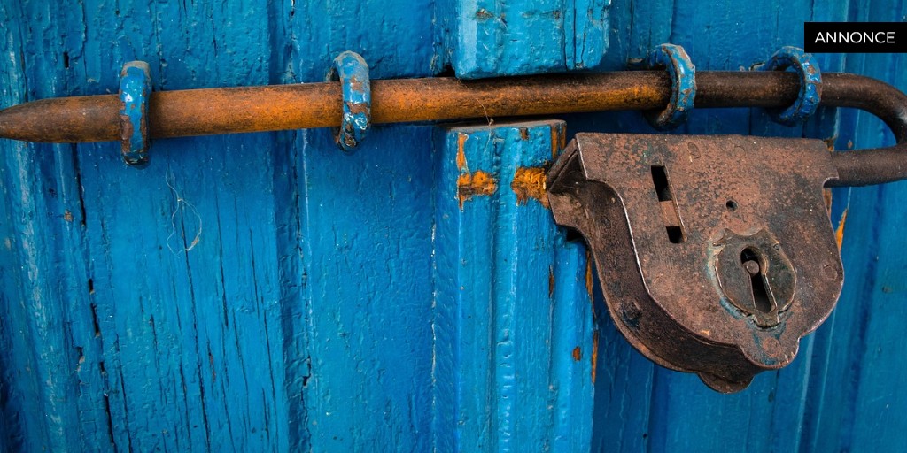 Forsyningssektoren under lup: digitalisering, sikkerhed og fremtidens teknologier