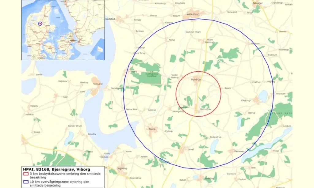 9.000 kalkuner aflivet efter nyt udbrud af fugleinfluenza ved Møldrup