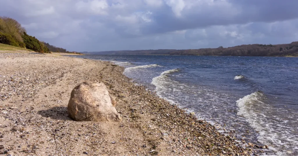 Ny grøn plan kan tage 10.500 hektar ud af drift i Mariagerfjord – men frivillighed og penge bliver afgørende