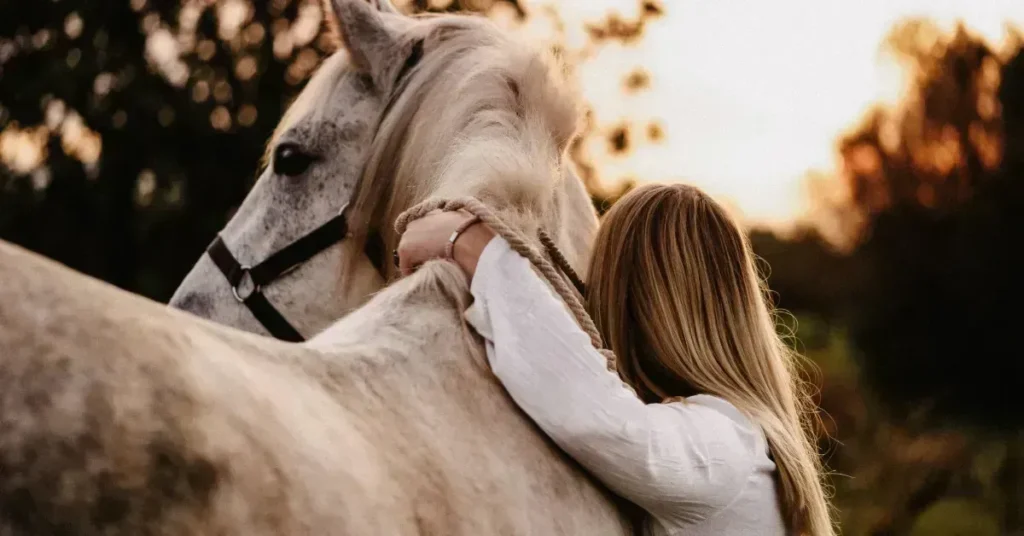 Heste- og ponyhygge i Hobro: En hel dag med elevponyer og aktiviteter
