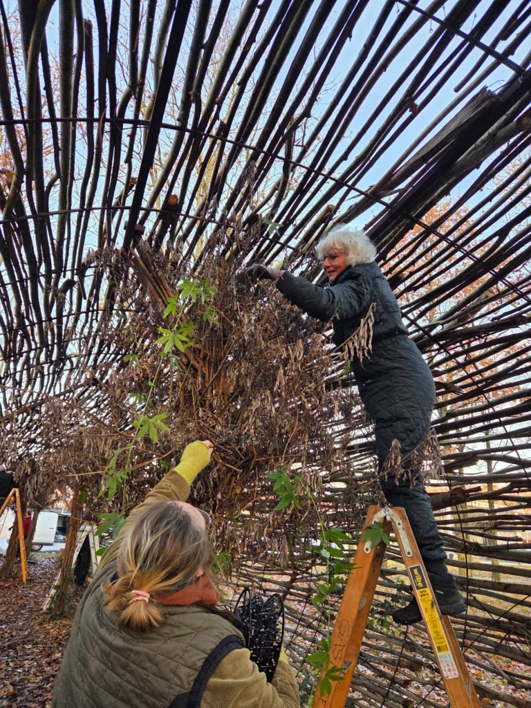 Mandag morgen 1. december satte de kreative frivillige og Johnny Haugaard lys op i Midgaardsormen 3 1