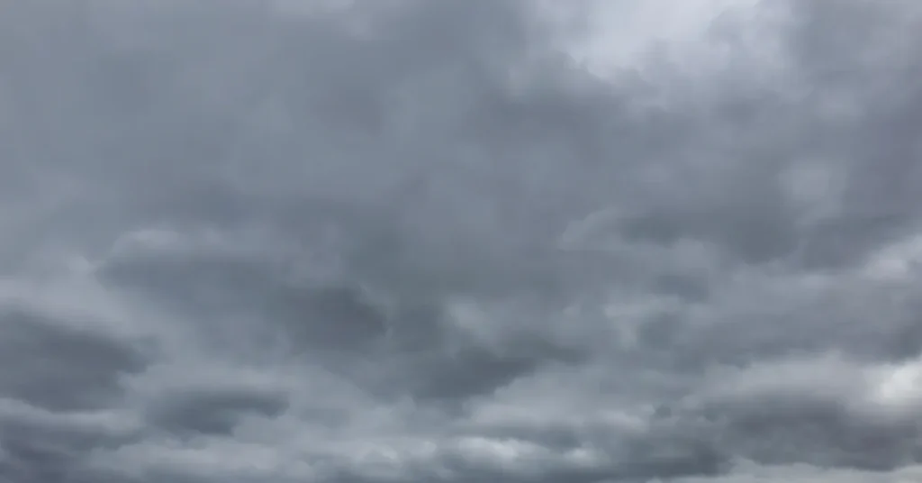 Dagens vejr: Skyer, frost og risiko for lidt sne i nat