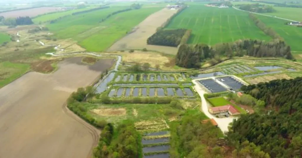 Opkøb af fire dambrug skal forbedre vandmiljøet ved Hjarbæk Fjord og i Limfjorden