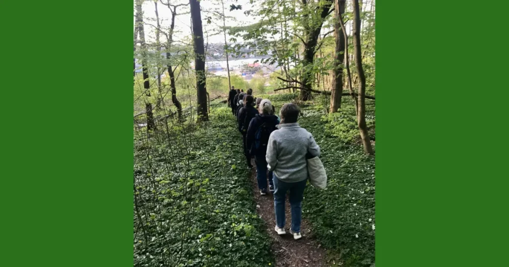 Tre bogcaféer i Mariagerfjord: Få læseinspiration til forår og sommer