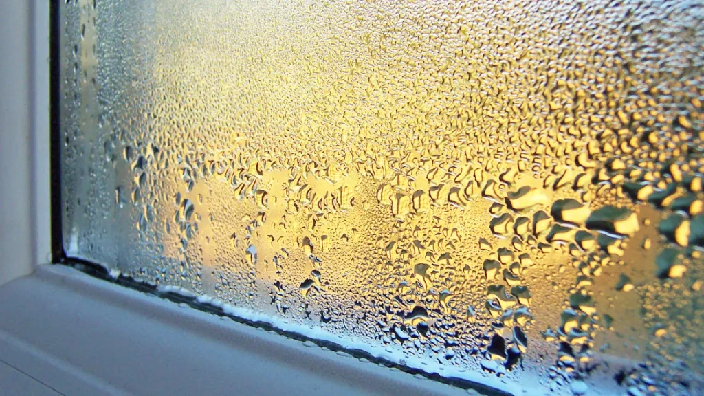 Kun hver tredje lufter nok ud om vinteren – risiko for skimmelsvamp og dårlig trivsel