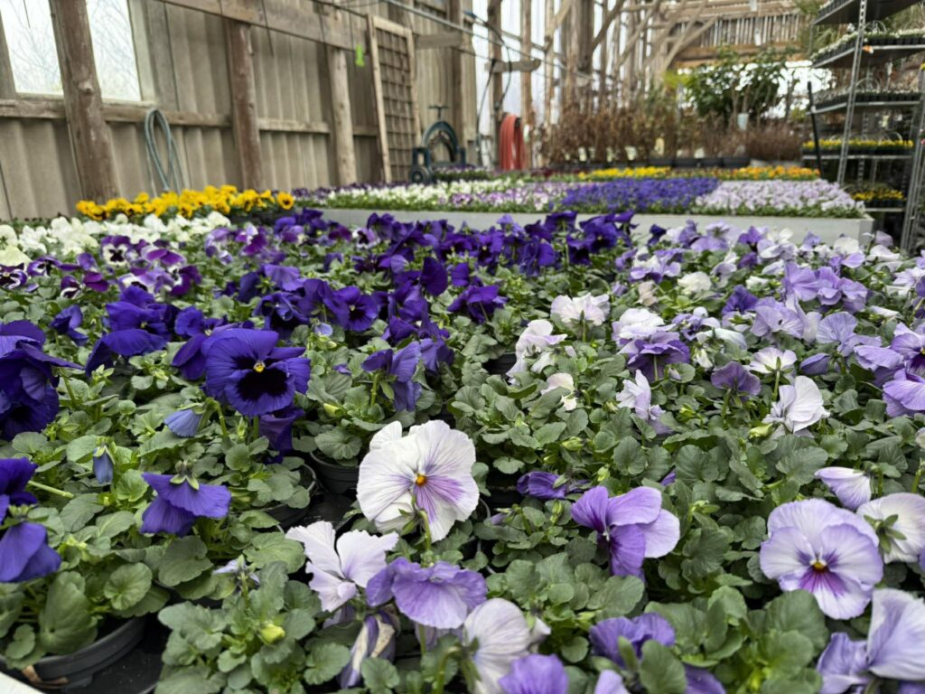 643759342 1227690112675620 2208438544660981597 n