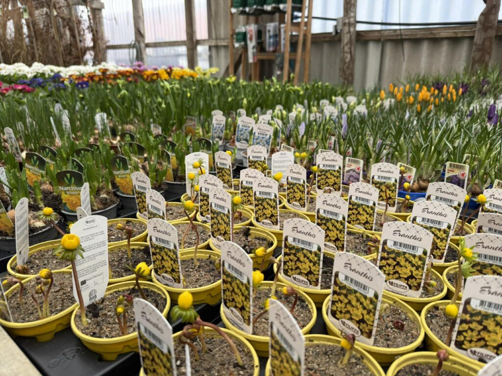 645502380 899160052751612 1185284408728410192 n