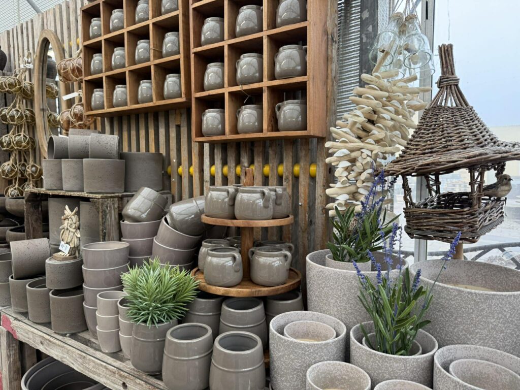 647272412 960275146451292 4939821726731320134 n