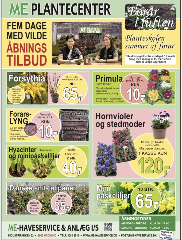 649546811 1449922330262894 1521266806583212938 n