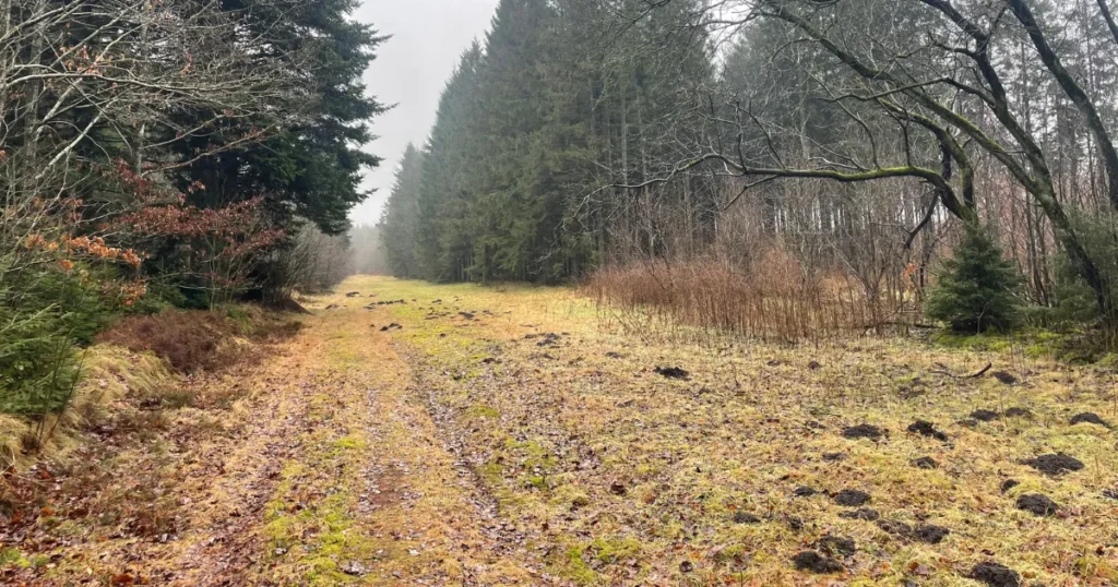 DM i ultralang orientering rammer Himmerland: 350 løbere ventes ved Aars