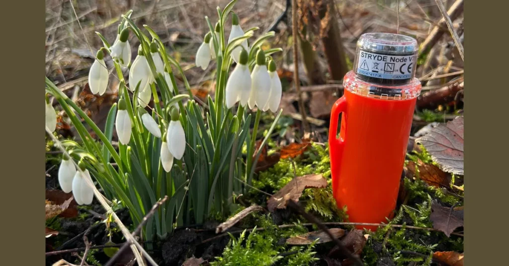 Efter seismisk undersøgelse: Projekt mangler stadig geofoner i området