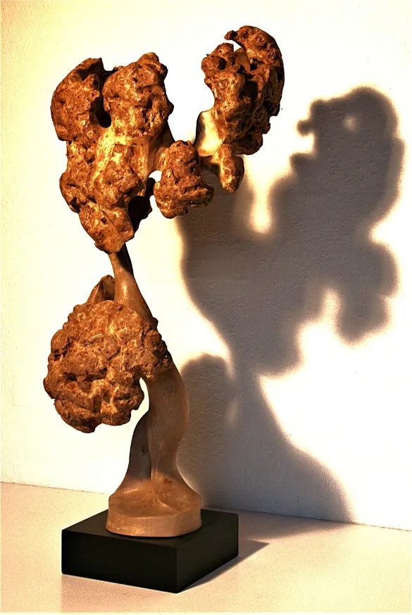 d71e96b8 530a 4a55 9849 cf4ccc1aae9e 1