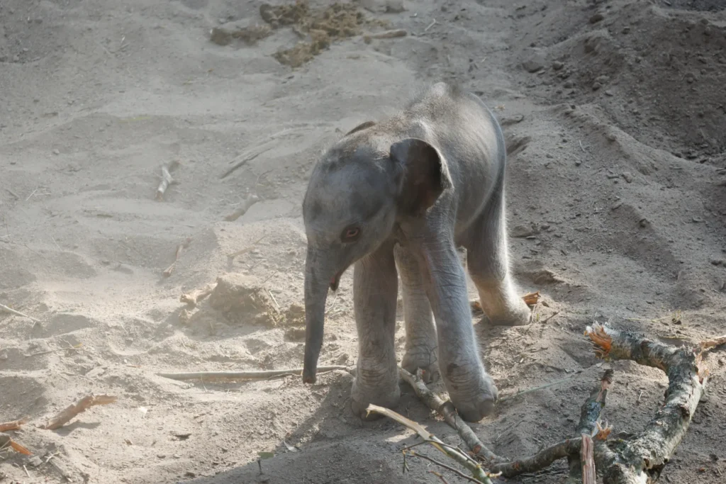 f90175f2 6b78 41e0 9d0b c47d9ce08fc4 2