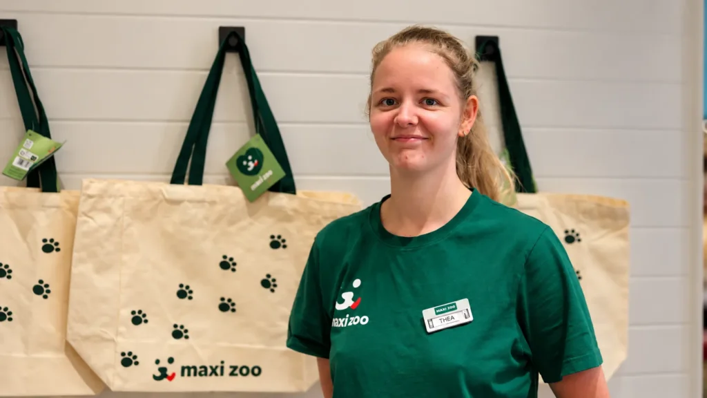 153 muleposer solgt hos Maxi Zoo i Hobro – nu håber butikschefen at få de sidste med